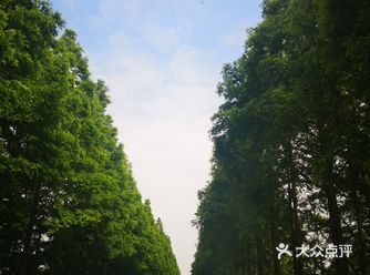 从小在华北平原长大的娃就是向往大海～喜欢听海浪的声音