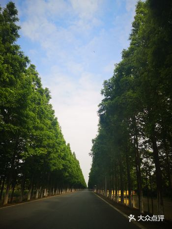 从小在华北平原长大的娃就是向往大海～喜欢听海浪的声音