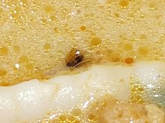 -杨国福麻辣烫(拱墅万达广场店)