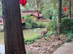 -上海怡沁园度假酒店
