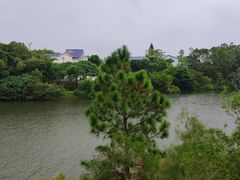 -广东惠东海龟国家级自然保护区