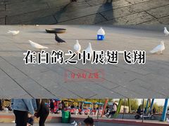 -卧龙湖