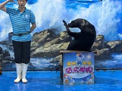 -左海海底世界