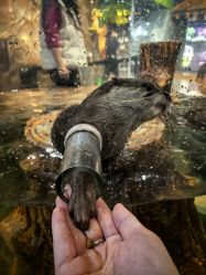 -Zoolung Zoolung动物主题公园(海信广场店)