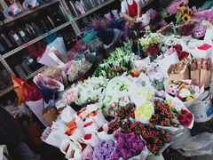 -秦美花卉(天朗·莱茵小城2期店)