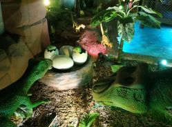 -恐龙探索乐园(磁器口店)