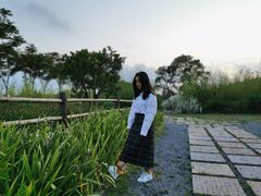 -上海长兴岛郊野公园