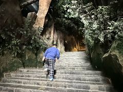 -吉林省自然博物馆