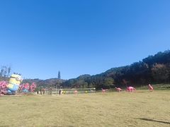 -黄陂区野村谷景区