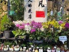 -溪岸路花鸟市场