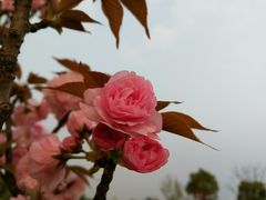 -钟山体育运动公园
