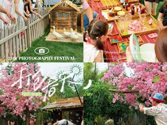 -HERRE·FARM 赫尔露营农场·团建聚会包场