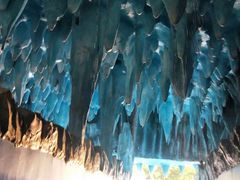 -厦门方特水上乐园