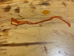 -袁记串串香(新南门店)