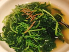 -新同乐鱼翅酒家(美丽华店)