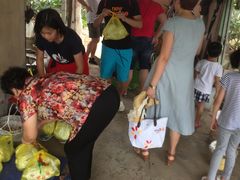 -马陆小张葡萄园农家乐