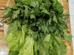 -菌之家·专业纯野生菌火锅·特色炒菌