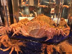 -蟹道乐(道顿堀本店)