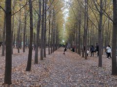 -汉景帝阳陵博物院