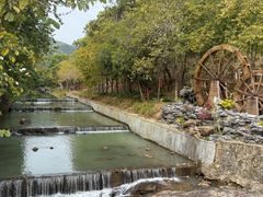 -广州白江湖森林公园