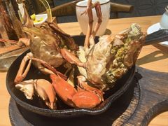 -莲花公园煎蟹(总店)