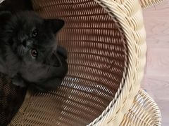 -Vamos巴猫司健身中心(五角场店)