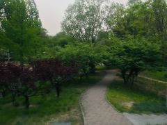 -望湖公园