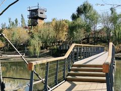 -东郊湿地公园