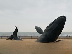 -烟台金沙滩海滨公园