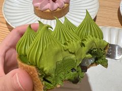 -猫里有甜