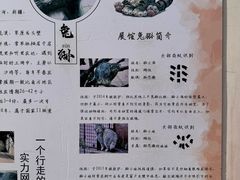 -青藏高原野生动物园