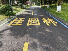 -张坝桂圆林公园