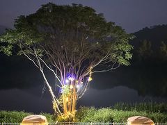 -东南花都花博园