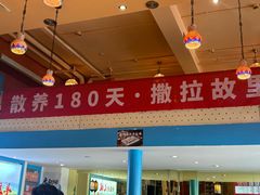 -撒拉花儿·新疆菜·清真(太阳宫店)