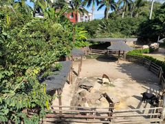 -泉州海丝野生动物世界