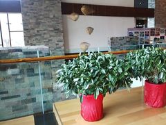 -逸廊大堂吧-下午茶·简餐-千岛湖自由洲际殿