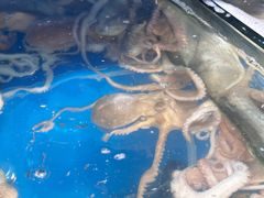 -仙螺岛海鲜自助餐厅(总店)