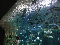 -波塞冬旅游度假区