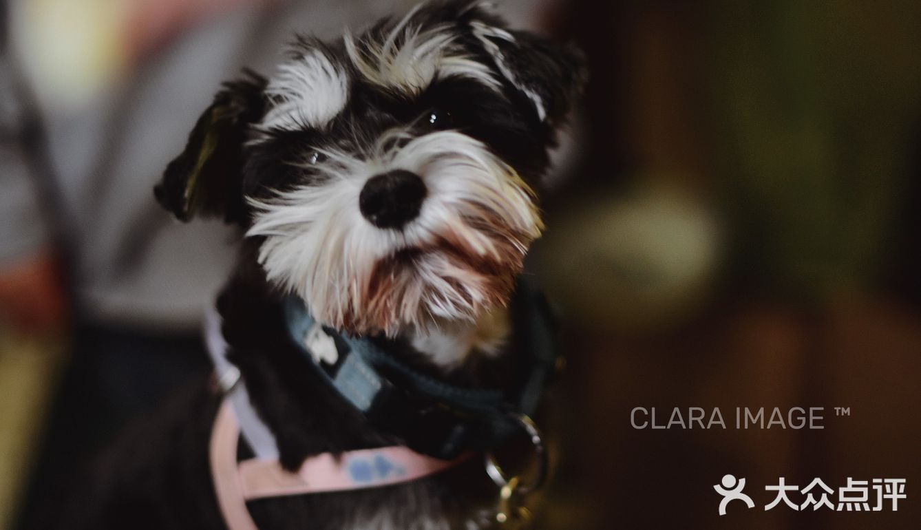 北京咖啡店|舒服如朋友家的客厅