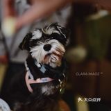 北京咖啡店|舒服如朋友家的客厅