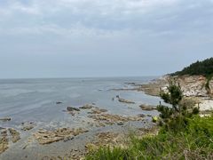 -养马岛旅游度假区