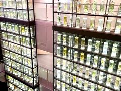 -广东中医药博物馆
