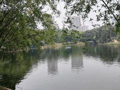 -晓港公园