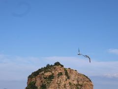 -棒棰岛宾馆景区