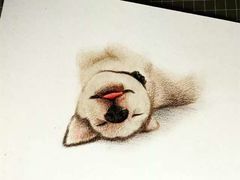 -八哥美术·成人美术画室(总校区)