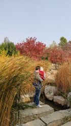 -大望京儿童游乐场