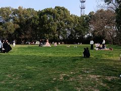 -蜀冈西峰生态公园