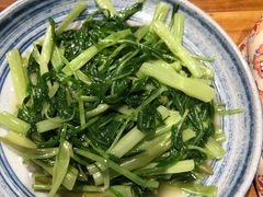 -椿不老