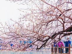 -国家植物园
