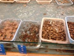 -松兰山海景大酒店·海鲜中餐厅